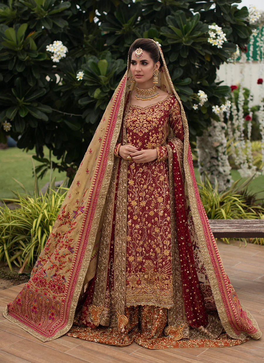 Pakistani Bridal Red Lehenga Dress for Wedding Wear 2